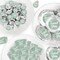 Big Dot of Happiness Sage Green Elegantly Simple - Guest Party Favors Candy Favor Sticker Kit - 304 Pieces
